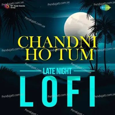 Chandni Ho Tum - Late Night Lofi - Mann Taneja cover album