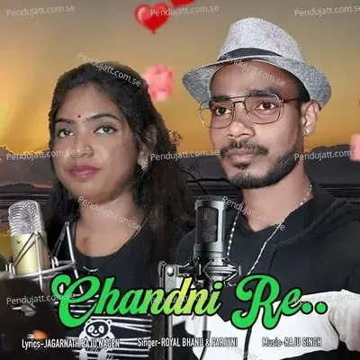 Chandni Re - Royal Bhanu album cover 