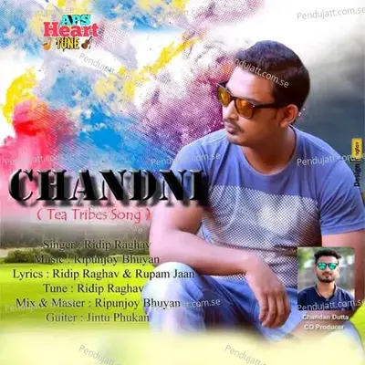 Chandni - Ridip Raghav album cover 