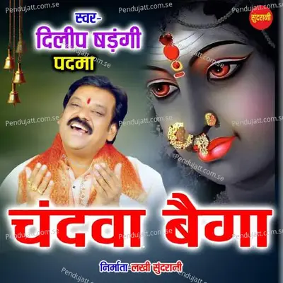 Chandwa Baiga - Dilip Shadangi album cover 