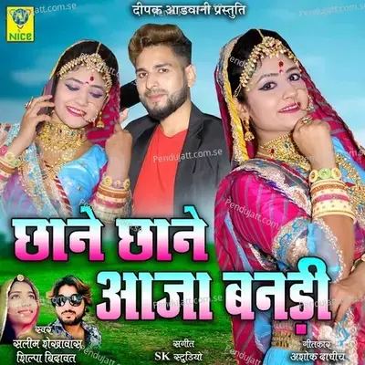 Chane Chane Aaja Bandi - Salim Shekhawas album cover 