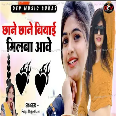 Chane Chane Biyai Milba Aave - Priya Rajasthani album cover 