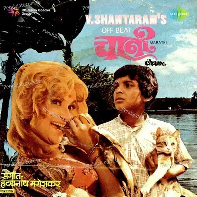 Tumhi Re Don - Lata Mangeshkar album cover 