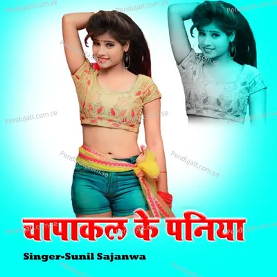 Chapakal Ke Paniya - Sunil Sajanwa album cover 