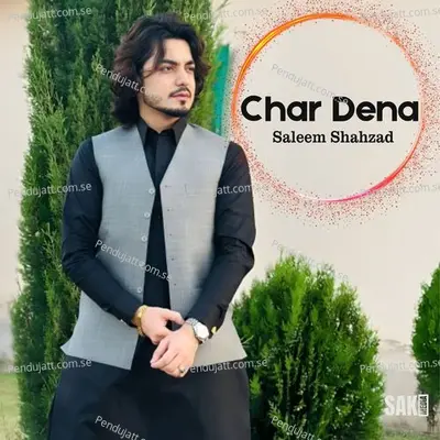 Chawa Kana - Saleem Shahzad album cover 