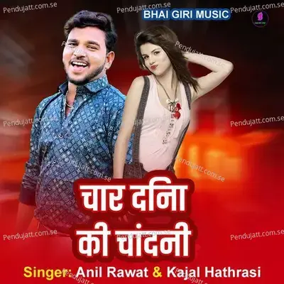 Char Din Ki Chandani - Anil Rawat album cover 