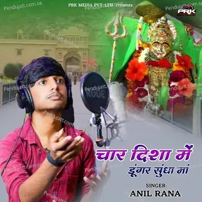 Char Disha Me Dungra Shundha Maa - Anil Rana album cover 