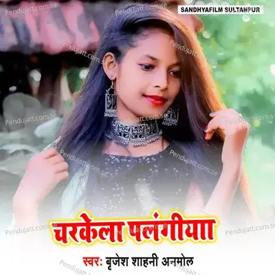 Charke La Plangiya - Brijesh Shahni Anmol album cover 