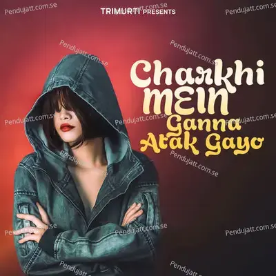 Charkhi Me Ganna Atak Gaya - Dinesh Gangwaal album cover 