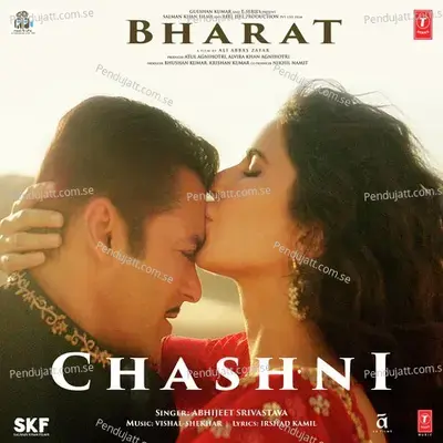 Chashni - Vishal & Shekhar album cover 