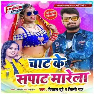 Chat Ke Sapat Marela - Vikash Dubey album cover 