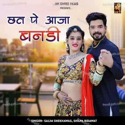 Chat Pe Aaja Banadi - Salim Shekhawas album cover 