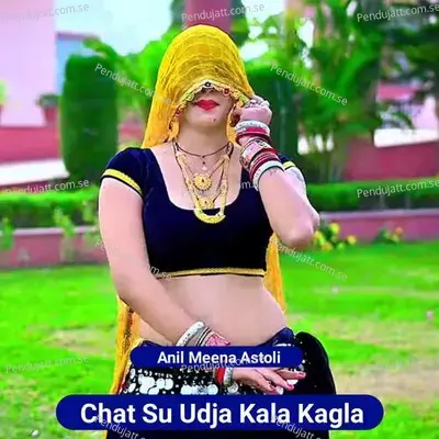 Chat Su Udja Kala Kagla - Anil Meena Astoli album cover 