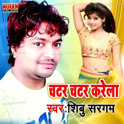 Chatar Chatar Rarela - Shibu Sargam album cover 