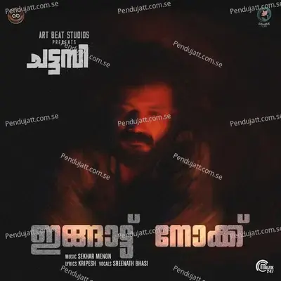 Ingattu Nokku - Sreenath Bhasi album cover 