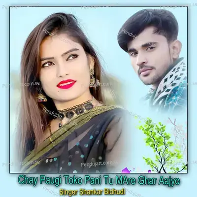 Chay Paugi Toko Pani Tu Mare Ghar Aajyo - Shankar Bidhudi