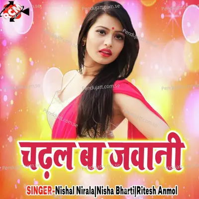 Chalsan Holi Khele - Nisha Bharti album cover 