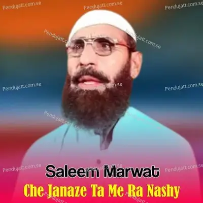 Che Janaze Ta Me Ra Nashy - Saleem Marwat album cover 