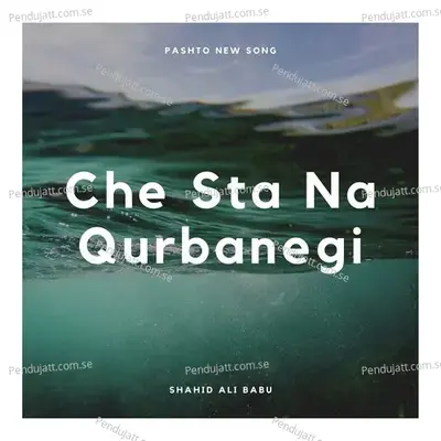 Che Sta Na Qurbanegi - Shahid Ali Babu album cover 