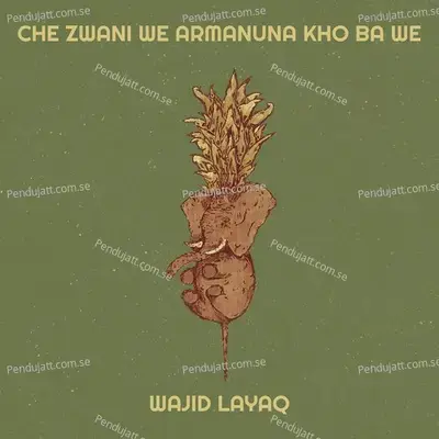 Che Zwani We Armanuna Kho Ba We - Wajid Layaq album cover 