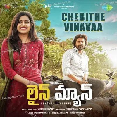 Chebithe Vinavaa - Vanamali album cover 