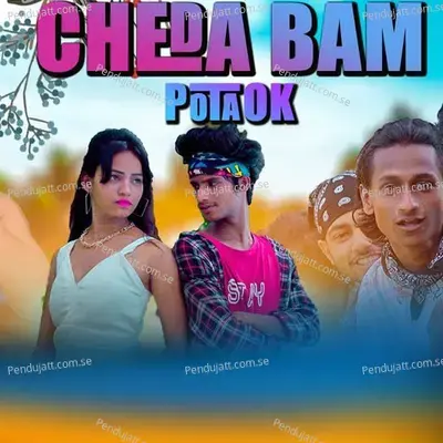 Chedak Bam Potak - Stephan Tudu album cover 