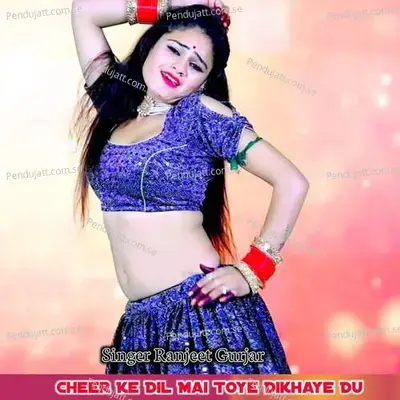 Cheer Ke Dil Mai Toye Dikhaye Du - Ranjeet Gurjar album cover 