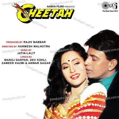 Ya Habibi, Mehbooba Teri Manjabi - Kavita Krishnamurthy album cover 