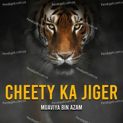 Cheety Ka Jigar - Muaviya Bin Azam album cover 