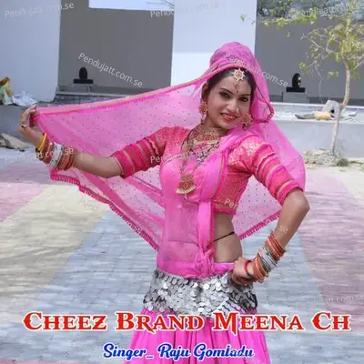 Cheez Brand Meena Ch - RAJU GOMLADU album cover 