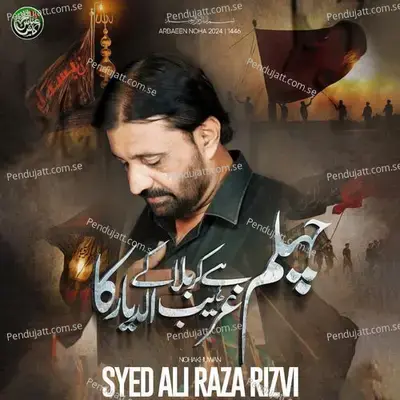 Chelum Hay Karbala Kay - Syed Ali Raza Rizvi album cover 