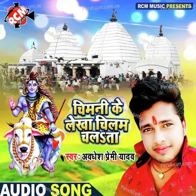Chemani Ke Lekha Chilam Chalata - AWDHESH PAREMI album cover 