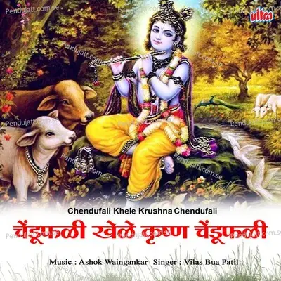 Jay Jay Ramkrushna Hari - Vilasbuva Patil album cover 