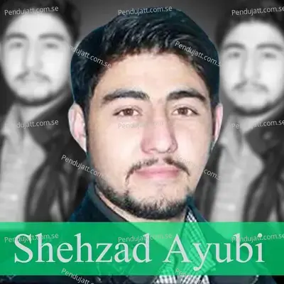 Cheniru Hardio Wa - Shehzad Ayubi album cover 