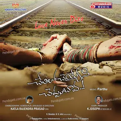 Nenu Nenugalenu - Parthu album cover 