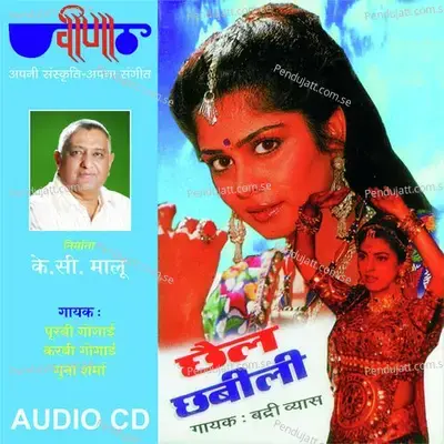 Chhail Chhabili - Badri Vyas cover album