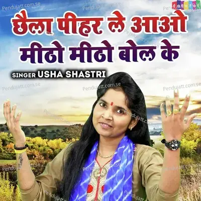 Chhaila Pihar Le Aao Meetho Meetho Bol Ke - Usha Shastri album cover 