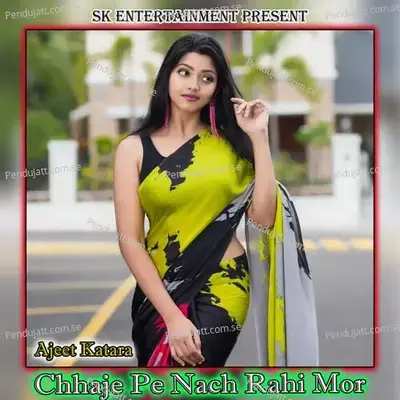 Chhaje Pe Nach Rahi Mor - Amit Kumar