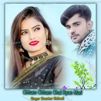 Chham Chham Chal Byan Mari - Shankar Bidhudi album cover 