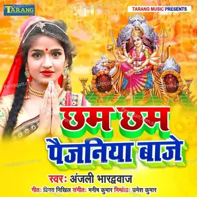 Chham Chham Payjaniya Baaje - Anjali Bhardwaj album cover 