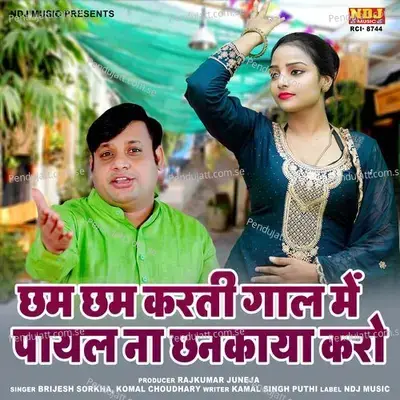 Chham Chhham Karti Gaal Me Payal Na Chhankaya Karo - Brijesh Sorkha album cover 