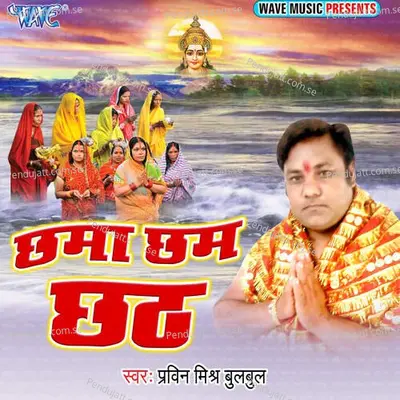 Bital Jala Argha Ke Ber - Praveen Mishra Bulbul album cover 