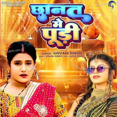 Chhanat Me Pudi - Shivani Singh album cover 