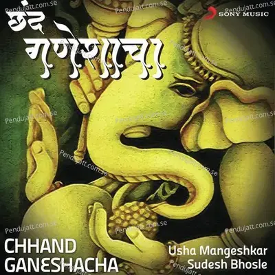 Sadar Karito - Pandit Shivanand Patil album cover 