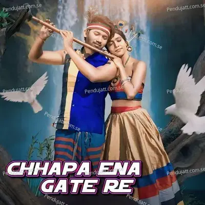 Chhapa Ena Gate Re - GANGADHAR BINDHANI album cover 