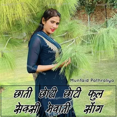 Chhati Chhoti Chhoti Full Sexy Mewati - Munfaid Pathraliya album cover 