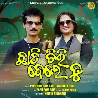 Chhati Chiri Dele Tu - Papu Pom Pom album cover 