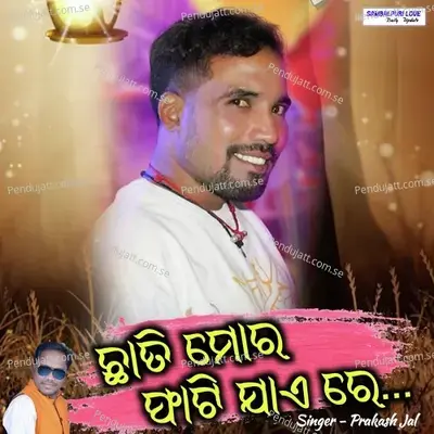 Chhati Mor Fati Jae Re - Prakash Jal album cover 