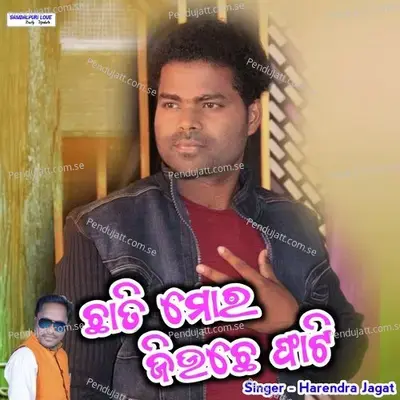 Chhati Mor Jauchhe Phati - Harendra Jagat album cover 