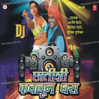 Salini Sinema Dawla - Anand Shinde album cover 